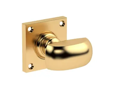  Square Rose Mortice Door Knob 3D model
