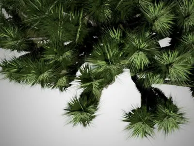 Dracaena Tree Low-poly 3D model