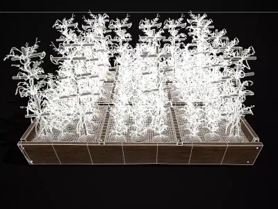 Square Planting Plot with Peas Low-poly 3D model