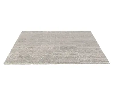 VARUSHA HAND-KNOTTED WOOL SILK RUG gr 3D model