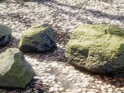 Landscape Elements - Rocks 3D model