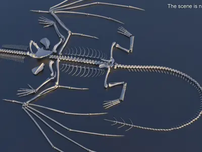  Dragon Skeleton in Unfolded State 