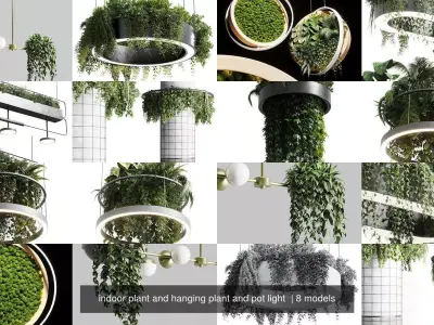 indoor plant and hanging plant and pot light  3D Model Pack