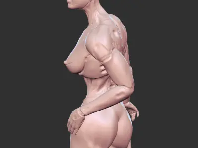 Hot Half-Robot Sci-Fi Babe 3D Model STL 3D print model