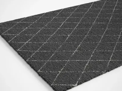 Losagne Black Rug 3D model