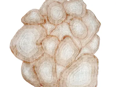 Apricot Caliedo Rug 3D model