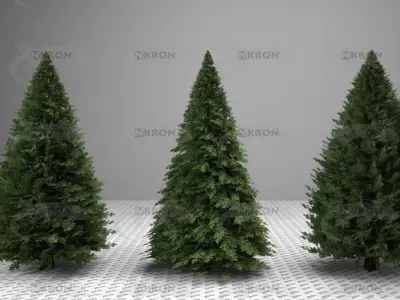 Christmas tree collection 3D model
