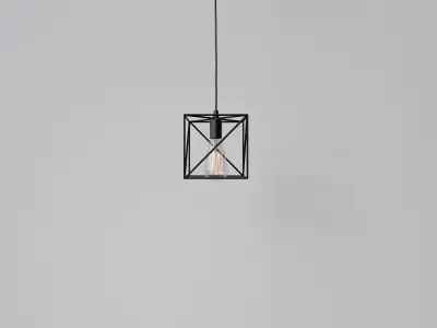 Light Bulb Cage  09 3D model