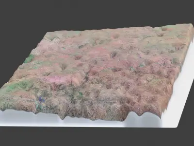 North Dakota State Low-poly 3D model