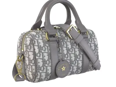 Dior Groove mini Bag Gray Low-poly 3D model