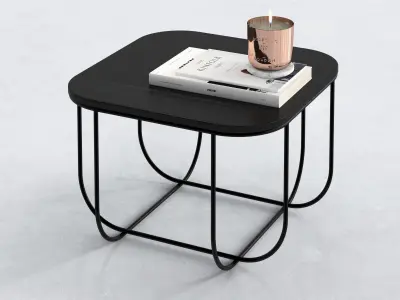 Fuwl Cage Table Free 3D model