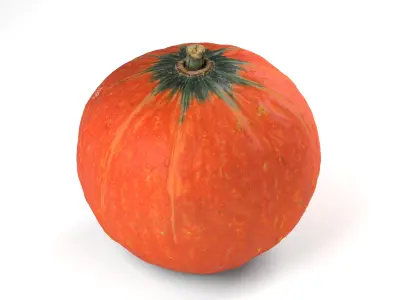 Orange Pumpkin - Photorealistic  Scan Low-poly 3D model