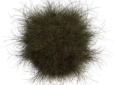 Realistic Wild Grass Clump Pack Low-poly 3D model