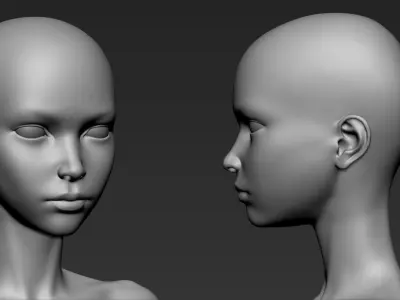 Anatomy female basemesh 3D model 3D model