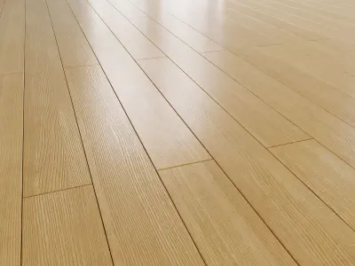 European ash 3D model