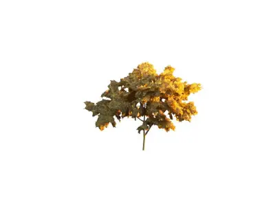 Low Poly Tree Autumn Stylish Low-poly 3D model