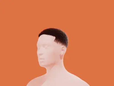 Fade Hair 3D model