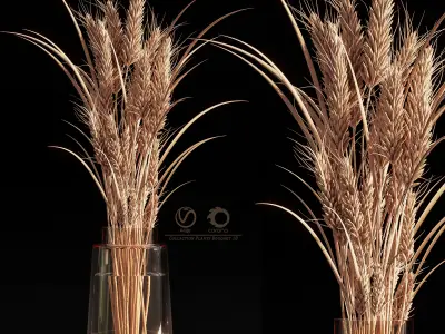 Collaction Plants Bouquet 10 3D model