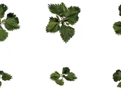 Tall Wild Herb Stem Pack  Low-poly 3D model