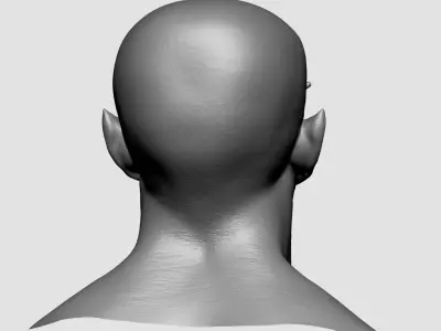 Male Head T 3D model
