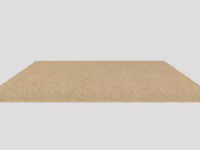 High-Precision Fabric Persian Rug 3D model 06 3D model