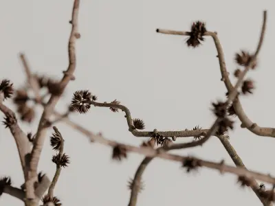 plants bouquet vase 38 3D model