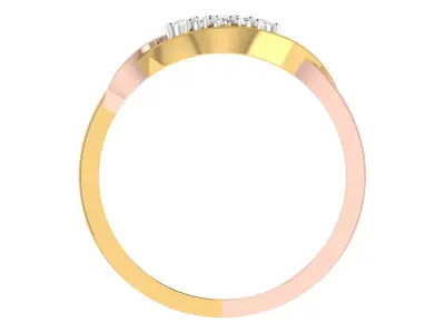 Women Ring  Render 3dm STL OBJ FBX Details 3D print model 290