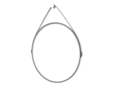 George Wall Mirror Free 3D model