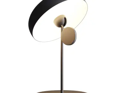 Pendulum lamp 3D model