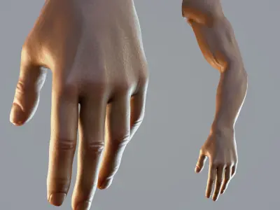 dark skin hand anatomy man 3D model