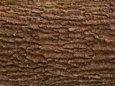 died Tree Free 3D model