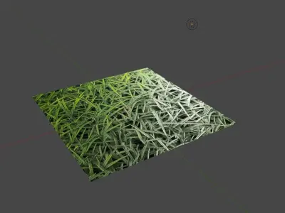 Grass Texture Seamless - 2K - Grama Texture
