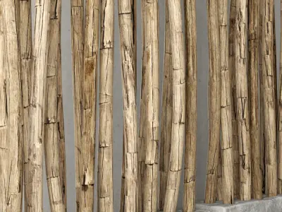 Decor Dry branches 3D model