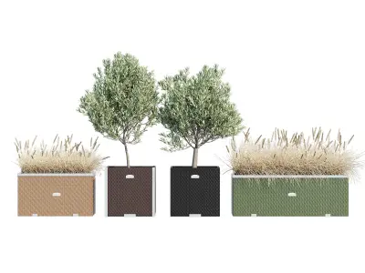 Polyrattan three 3D model