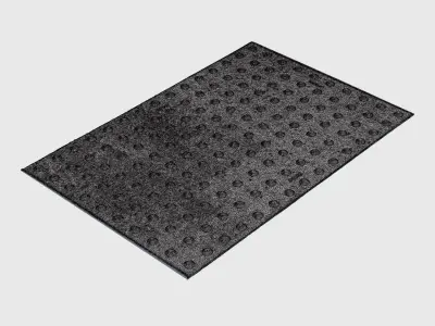 Barrier Surface 3D model