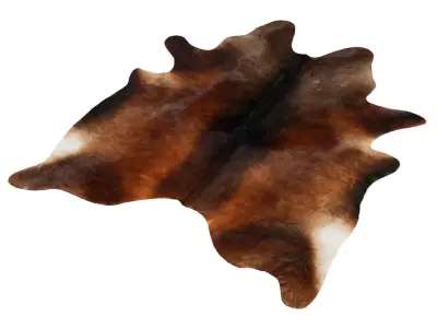 Chocolate Cowhide Rug by Hudson Hides 3D model