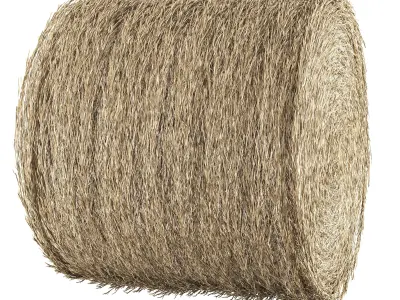 Realistic Roll bale of straw Low-poly 3D model