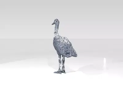 Crane Dust Voronoi 3D model