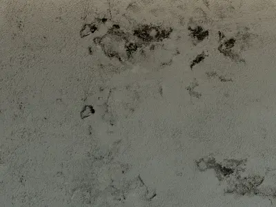 Concrete wall Old concrete  81 Texture