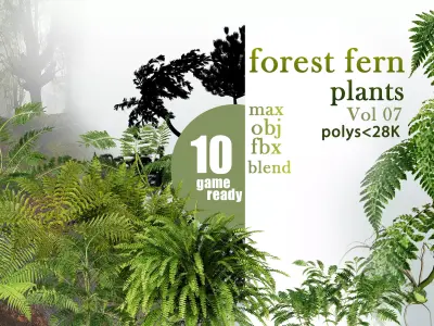 10 forest fern plants VOL 07 Low-poly 3D model