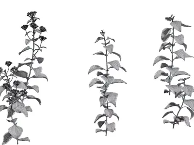 Game Ready Foliage Pack  Low-poly 3D model