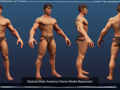Combo 3 types Body Big Muscle Small Muscle and Skinny 3D Model Pack