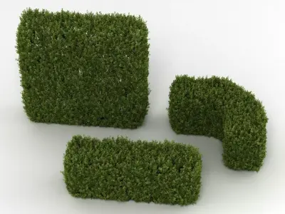 Hedge 3D model