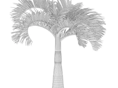 Christmas Palm Tree 3D model