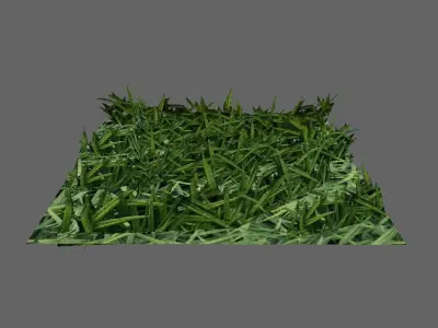 Grass Simple for Games - Grama Low-poly 3D model