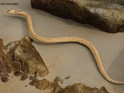  Crawling Light Skin Cobra Animated Rigged 
