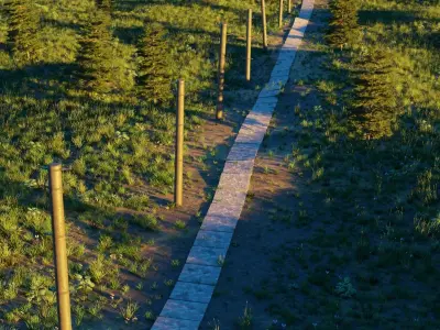 Field road 3D model