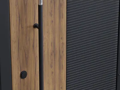 Flash Door Burkovsky 3D model