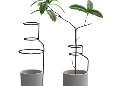 Plant in wire pots 3D model