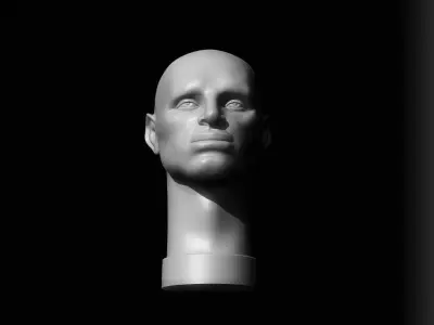 Male Head - John Asaro 3D model